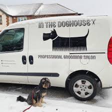 Depending on the footwear you select, dog shoes and boots may also keep your pet's paws safe from any loose gravel, glass, pointy burrs, and other bits of rough terrain. Vanity Paws Dog Grooming Salon Home Facebook