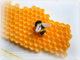 Pin On Honey Bees Hives