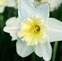 Profile Picture of Obituary information for Brenda Joan Brogdon - W T Wilson Funeral Chapel (@wtwilsonfuneralchapel.com) on Google