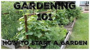 Gardening 101: How To Start A Garden - Youtube