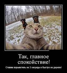 Смешные до слез демотиваторы (45 картинок) | 1001zabava.club