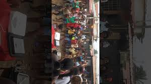 Team xocoteiro quot cavalo maluco quot prod by xocoteiro video oficial. Team Xocoteiro Cavalo Maluco Mp3 Download 320kbps Ringtone Lyrics