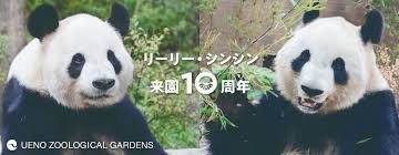 すべて 図書 雑誌 古典籍資料（貴重書等） 博士論文 官報 憲政資料 日本占領関係資料 プランゲ文庫 録音・映像関係資料 歴史的音源 地図 特殊デジタルコレ. ä¸Šé‡Žå‹•ç‰©åœ' å…¬å¼ On Twitter 10å¹´å‰ã®2011å¹´2æœˆ21æ—¥ã« ã‚¸ãƒ£ã‚¤ã‚¢ãƒ³ãƒˆãƒ'ãƒ³ãƒ€ã®ãƒªãƒ¼ãƒªãƒ¼ã¨ã‚·ãƒ³ã‚·ãƒ³ãŒä¸Šé‡Žå‹•ç‰©åœ'ã«æ¥åœ'ã—ã¾ã—ãŸ æ˜Žæ—¥ã‹ã‚‰æ¯Žæœˆ21æ—¥ã« 10å¹´ã‚'æŒ¯ã‚Šã‹ãˆã‚‹ãƒ„ã‚¤ãƒ¼ãƒˆã‚'ã—ã¦ã„ãã¾ã™ è©³ã—ãã¯https T Co U1eamfbyrm ãƒªãƒ¼ãƒªãƒ¼ ã‚·ãƒ³ã‚·ãƒ³æ¥åœ'10å'¨å¹´