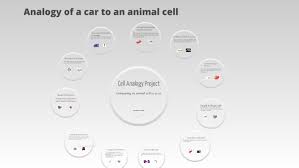 Analogy of animal cell to a car. Analogy Of A Car To An Animal Cell By Roberto Carrillo On Prezi Next
