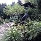 Open Garden Event