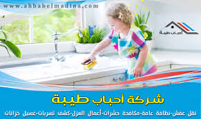 إذا كنت تبحث عن التنظيف الراقي وجمال المنظر ستجده لدى أحباب طيبة شركة تنظيف بالخبر لأنهم يستخدمون مو outdoor decor decor outdoor