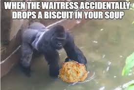 The problem with making biscuits using a baking mix is that if you follow the directions from the box you don't end up with a very fluffy or flakey finished product, since most of the fat in the recipe comes from the shortening that's included in the mix. Facebook
