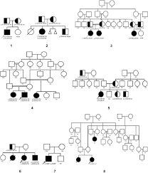 phenotype genotype spectrum of aaa syndrome from western