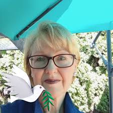 Why is my tomato plant not fruiting?