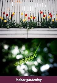 Indoor Gardening 383 20180822105620 53 Fall Gardening Southern Oregon Garden Services Plymouth Uk Atlanta Botanical Garden Garden Drawing Preschool Garden