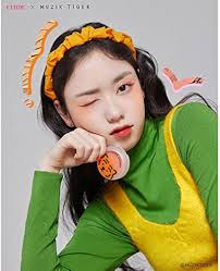 Amazon.co.jp: ETUDE Official Musik Tiger Dewey Cheek 01 Coral Orange :  Beauty