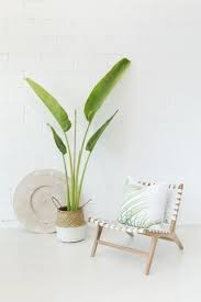 Bali Statement Lounger White Leather And Wood Chair Cool Home Furniture Tropical Living Room Scandinavian Design Living Room Shabby Chic Table And Chairs