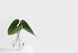 1280x720 clean wallpaper desktop the best hd wallpaper>. Minimal Nature Pictures Download Free Images On Unsplash