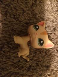 We did not find results for: All Lps Shorthair Cats