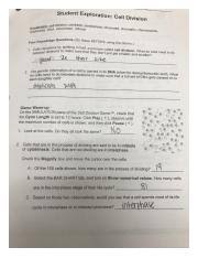 Cell Division Gizmo Worksheet Answers 25 Jpg Explorelearning Student Exploration Cell Division Vocabulary Cell Division Centriole Centromere Chromatid Course Hero