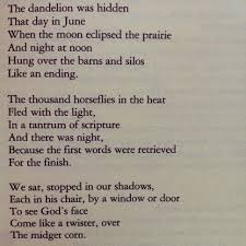 Siri Hustvedt Eclipse Quotes Reason Quotes The Book Thief