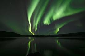 Alaska Cruise Northern Lights Wildlife Viewing In 2020 See The Northern Lights Northern Lights Alaska Cruise