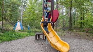 Schau es dir doch einmal an! Folge 13 In Unserer Test Reihe Spielplatz Hohe Warte Das Wald Abenteuer Bayreuth Nordbayerischer Kurier