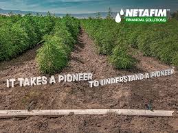 Patio kits efficiently water plants in pots and baskets whether on the ground or hanging. Netafim Financial Solutions Expands Drip Irrigation System Financing Program To Include Hemp Growers Business Wire