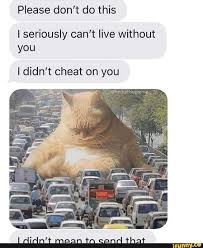 Please Don T Do This I Seriously Can T Live Without You I Didn T Cheat On You Ifunny Funny Relatable Memes Haha Funny Stupid Funny Memes