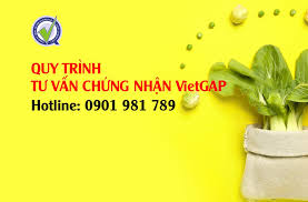 Quy trình cấp giấy chứng nhận VietGAP (Update 2023)