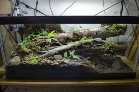 16snake Cage Snake Terrarium Reptile Terrarium Vivarium