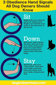These Are Three Essential Dog Training Hand Signals Hand Signals Are Great For So Many Things Especially Dog Training Hand Signals Hand Signals Dog Training