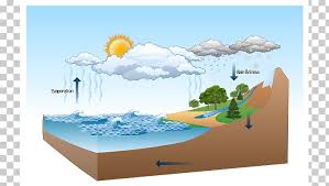Diagram Water Cycle Nature Drawing Illustration Png Clipart