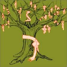 The Tree - Renewal Journal