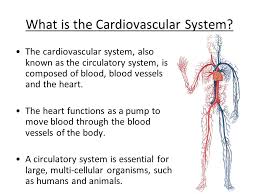Human biology (15th edition) edit edition solutions for chapter 5.7 problem 14aty: D Cardiovascular System Higher Human Biology What Can You Remember About The Heart And Blood Vessels Ppt Download