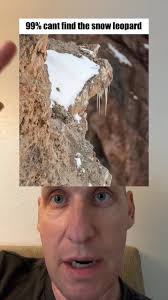 Can You See The Snow Leopard?