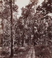 An environmental history of Indian ...