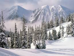 And make your desktop even better! Download Nature Desktop Wallpapers Winter Wallpapers Phone Desktop Background