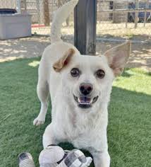 3 <3 HE WAS RESCUED <3 <3