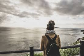 ボード 免费 のピン