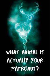 What Animal Is Actually Your Patronus Harry Potter Patronus Harry Potter Quiz Harry Potter Quizzes