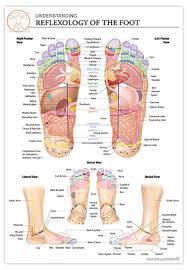 Foot Online Charts Collection