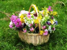 May 1, observed in the united states, canada, and parts of western europe in celebration of t. May Day 2021 What Is May Day Traditions And Lore Of May 1st The Old Farmer S Almanac