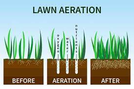 Before overseeding your thin lawn, cut your grass shorter than normal and bag the clippings. Should I Aerate Or Dethatch My Lawn First When Overseeding Cg Lawn