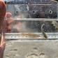 Wander the Wetlands - Fish Seining at Crown Point ... event in San Diego, CA