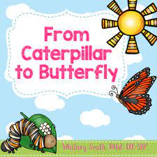 Maybe you would like to learn more about one of these? From Caterpillar To Butterfly Book Companion By Whitneyslp Tpt