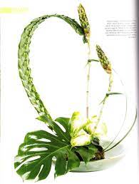 Meaning thousands of flowers.general term for a mass floral bouquet with many colors flowers juxtaposed in an arrangement, somehow blending together to make a unified. Flora Negative Space Floristry Design Floristry Floral Arrangements