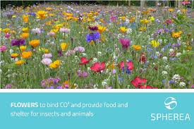 Maybe you would like to learn more about one of these? Spherea S Environmental Contribution Spherea Germany