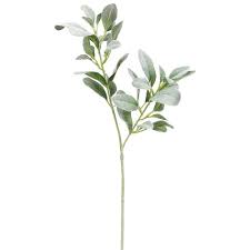 Check spelling or type a new query. Flocked Lambs Ear Leaf Spray In Grey Green 28 Tall Artificial Flowers Wedding Small Artificial Plants Fake Flowers