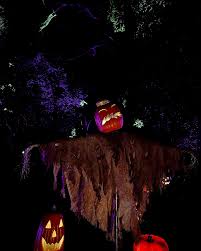 Adrenalin Attractions