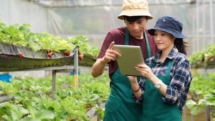 Prospek Kerja Agribisnis 5 Tahun Kedepan 6 Karir yang Naik Daun!