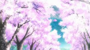 Follow the vibe and change your wallpaper every day! Anime Cherry Blossom Tree Black Background Novocom Top