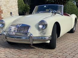 Image result for Old English White 1961 MG
