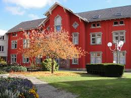 Centre Hospitalier Departemental De Bischwiller