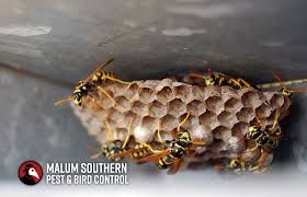 How To Keep Wasps Away
